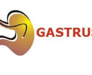 Gastrus