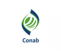 CONAB num-
