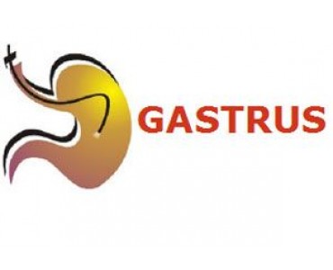 Gastrus